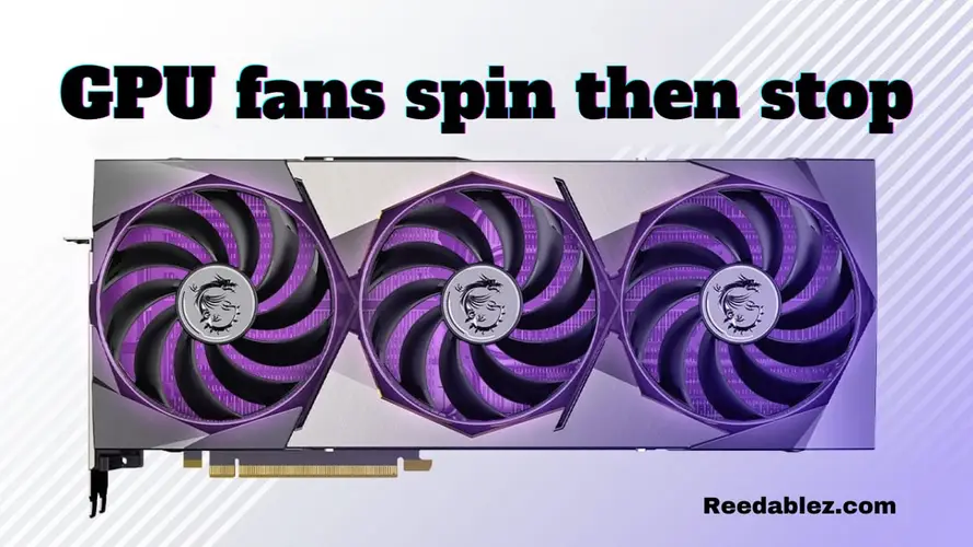 Reedablez - Why gpu fans spin then stop?