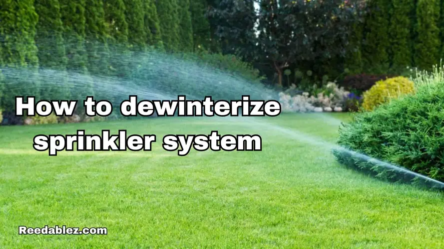 Reedablez - How to de-winterize sprinkler…