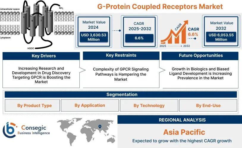 G-Protein Coupled Receptors Market Size, Drug Discovery and Future Outlook